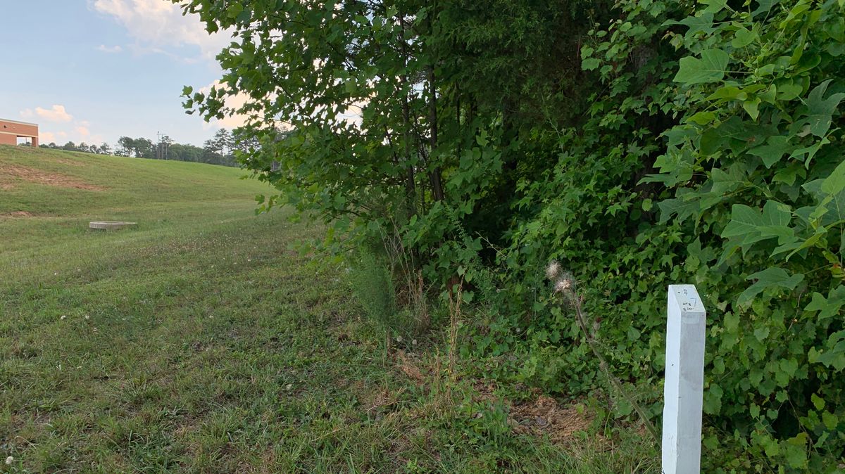 Hole 7