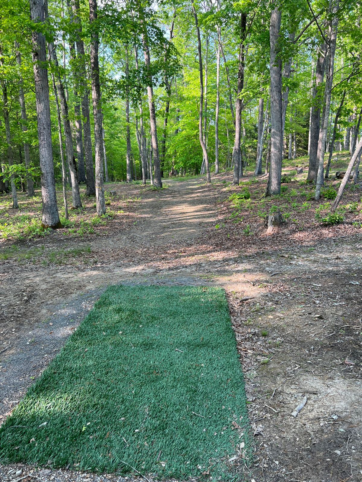Hole 16 Blue Tee