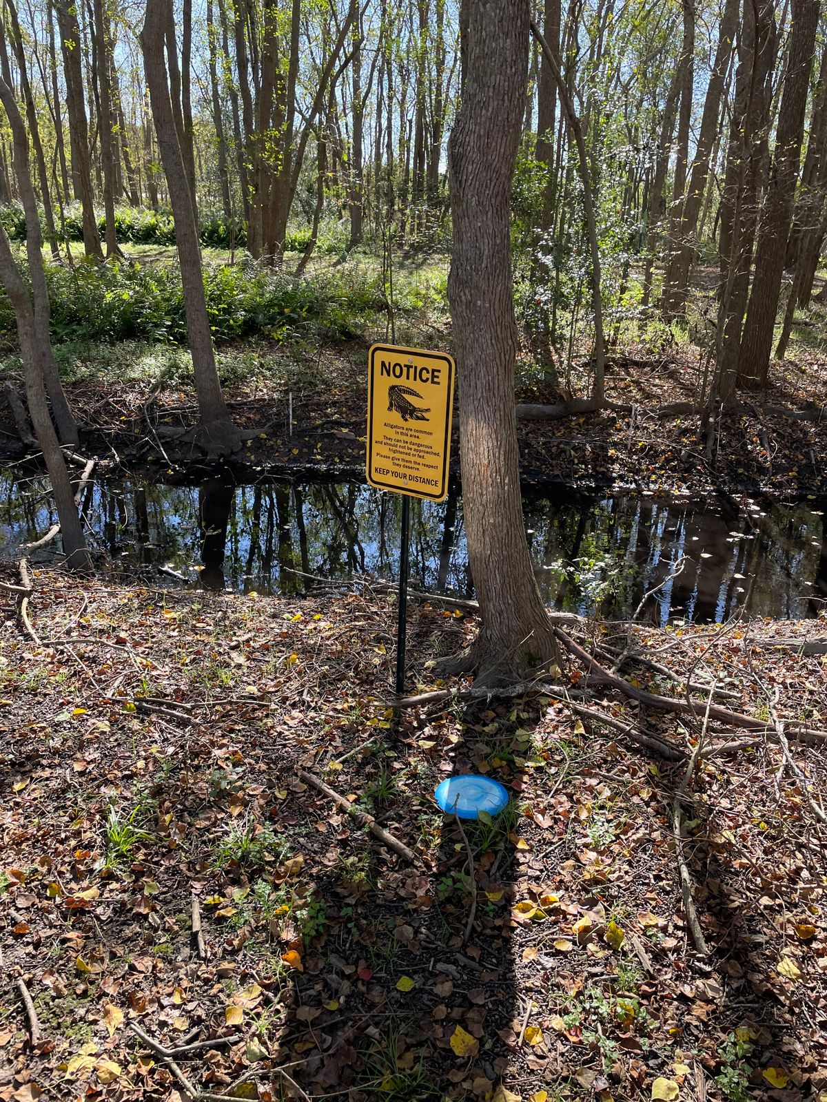Gator bait!