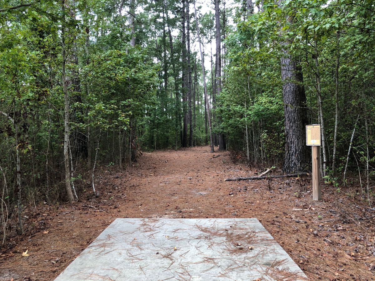 Hole 13 - Gold