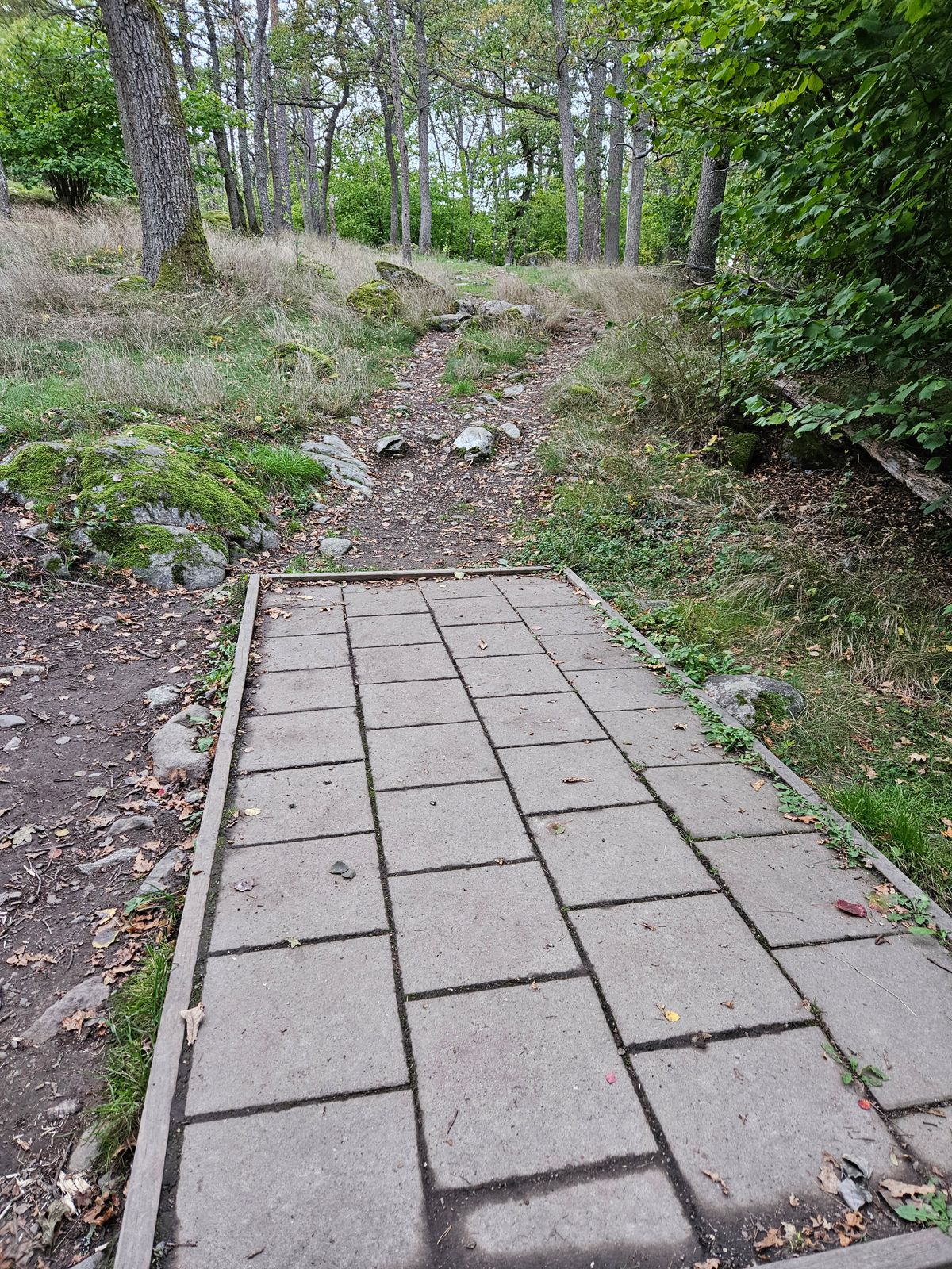 Tee 7