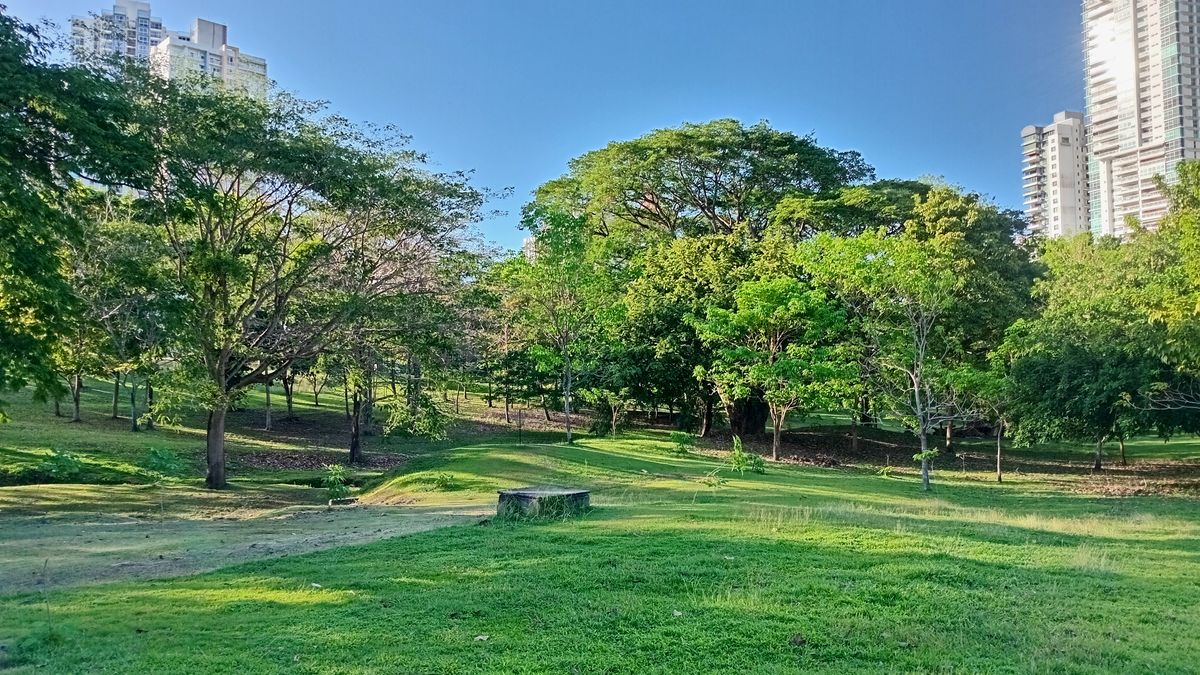 Parque Omar DG Course
Hole 4 Target