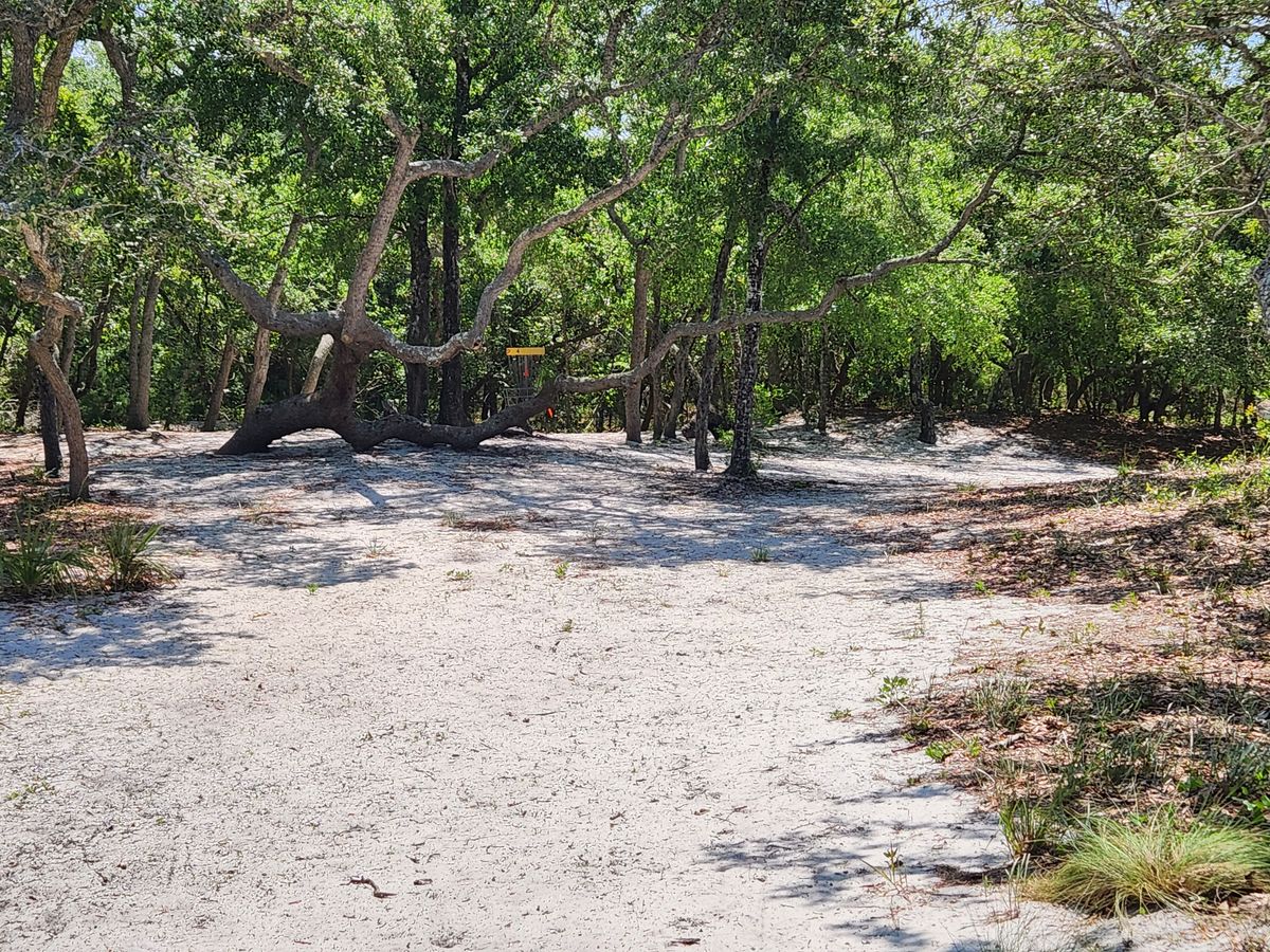Hole 4 basket
