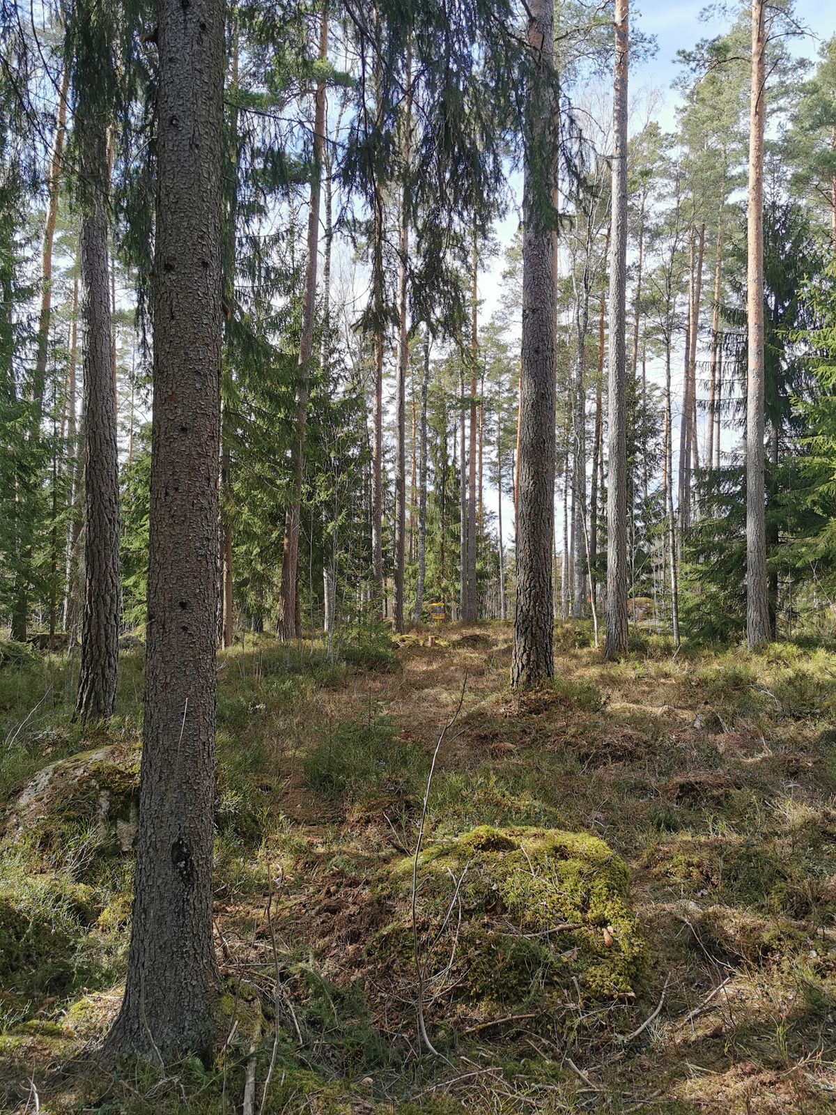 Hål 17 Fairway