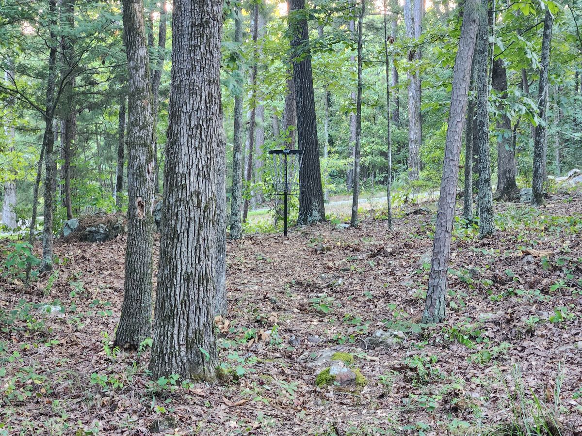 Basket 3 is next to driveway.