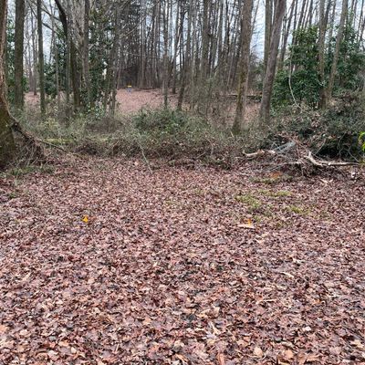 Hole 3 tee