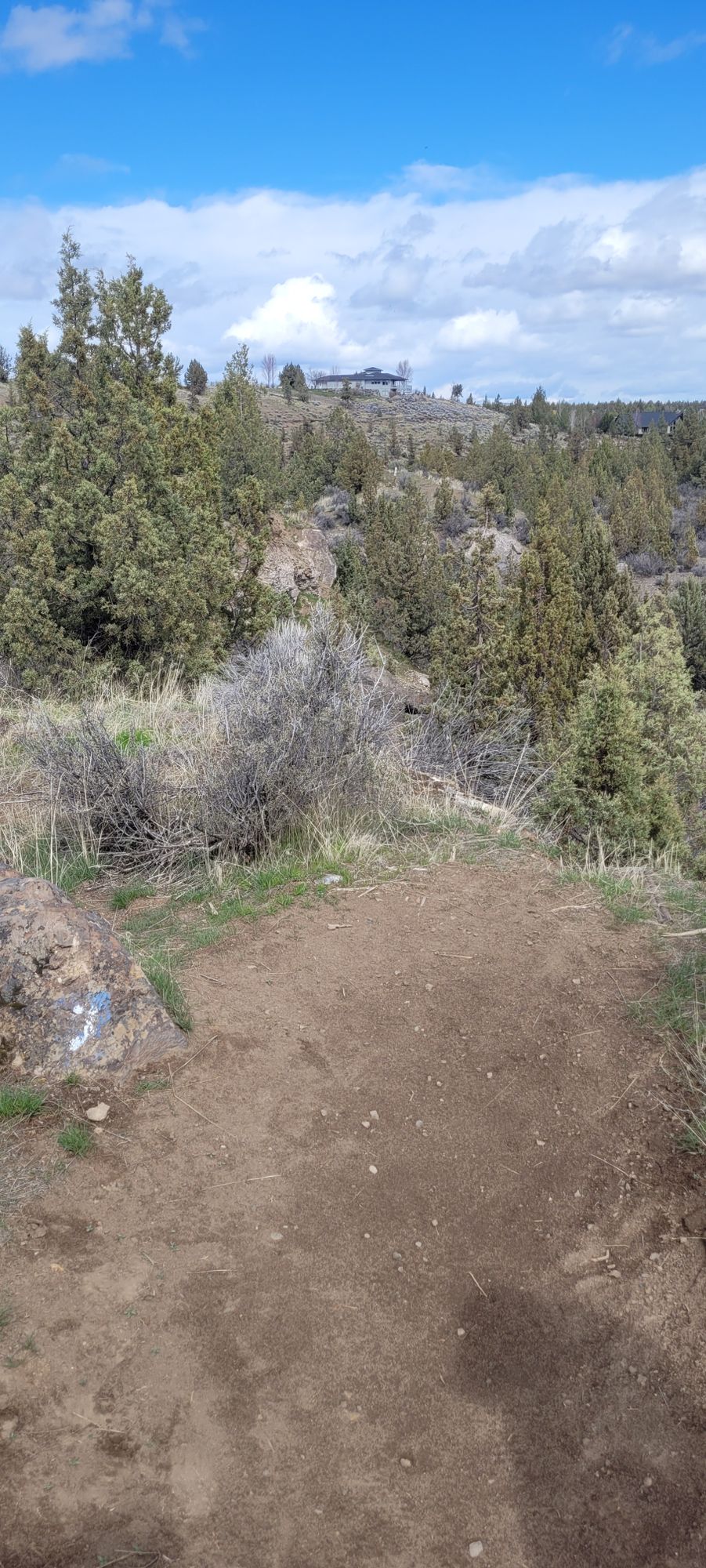 Udisc is a MUST!