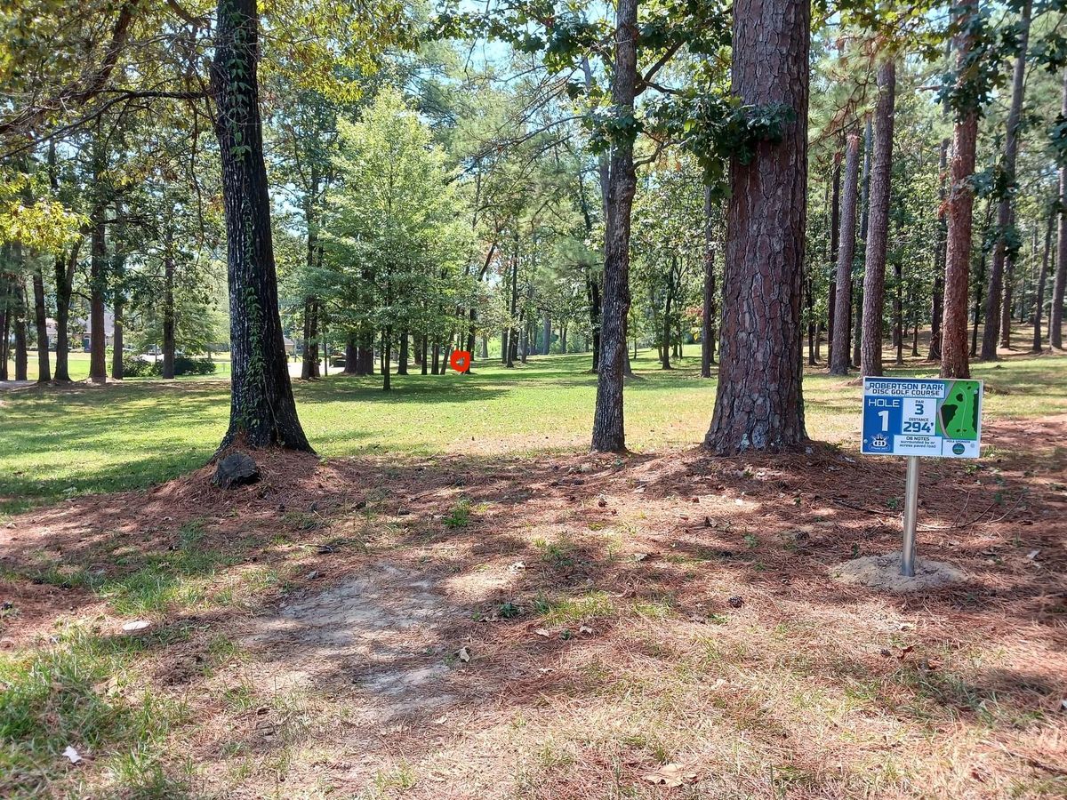 Hole 1 basket