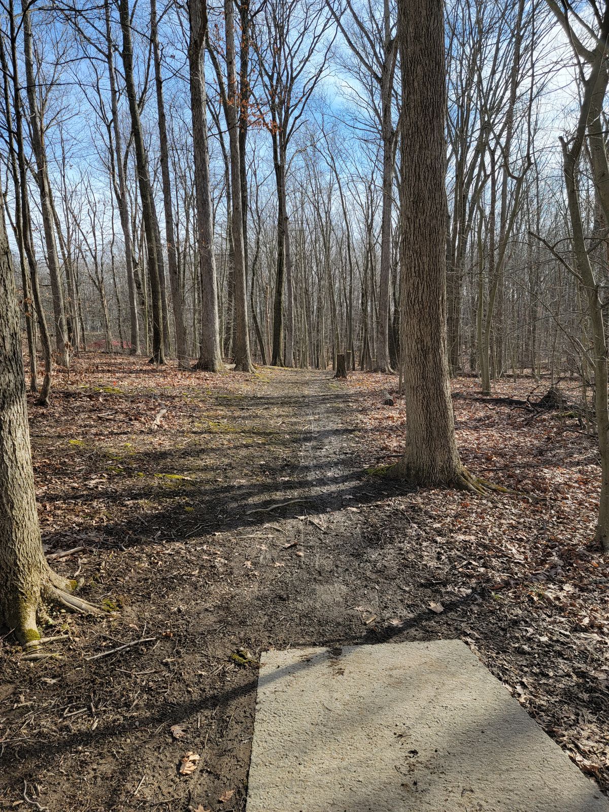 Hole 3 Tee