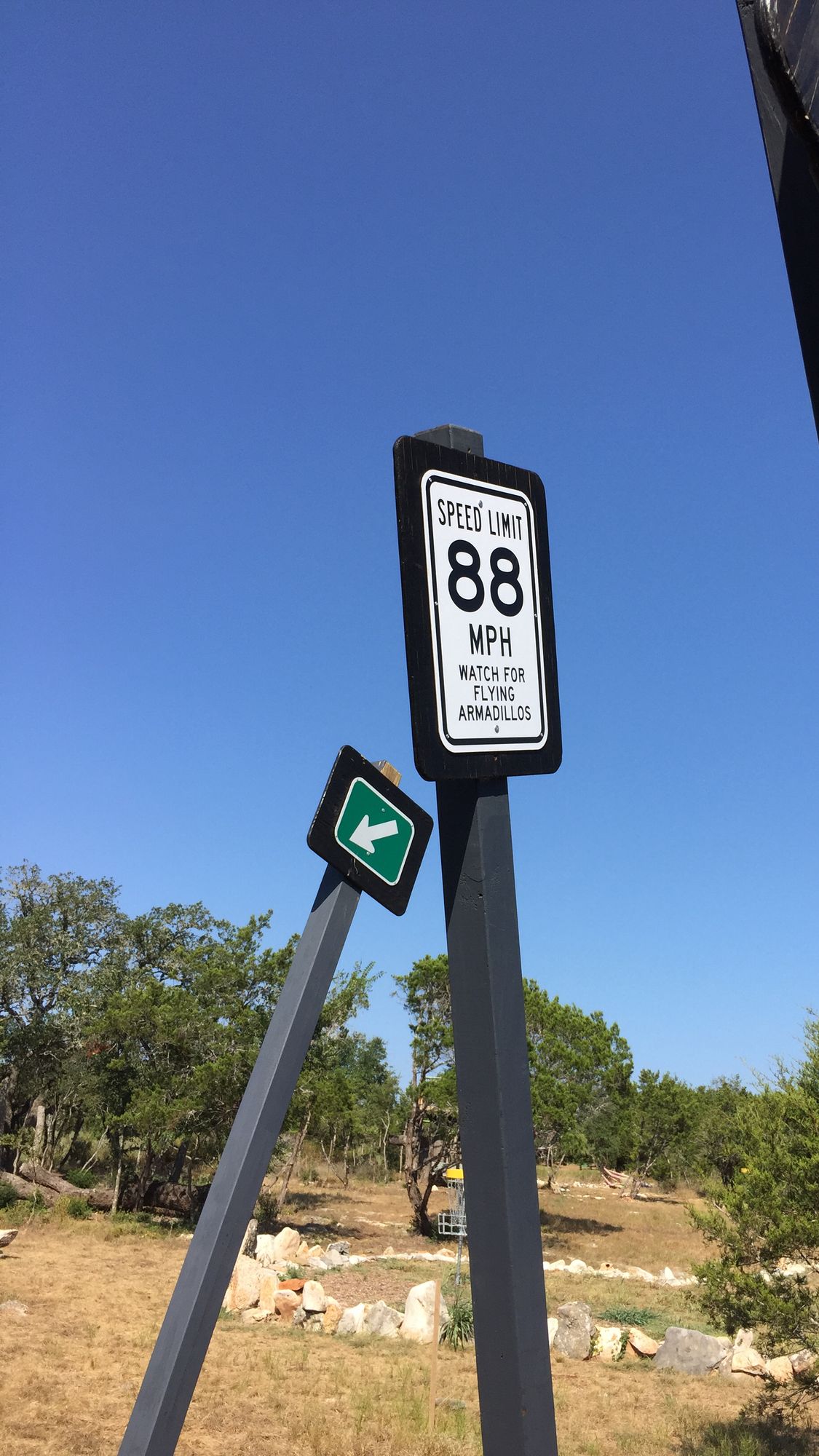 Flying Armadillo DGC Gold Mini Course Photos