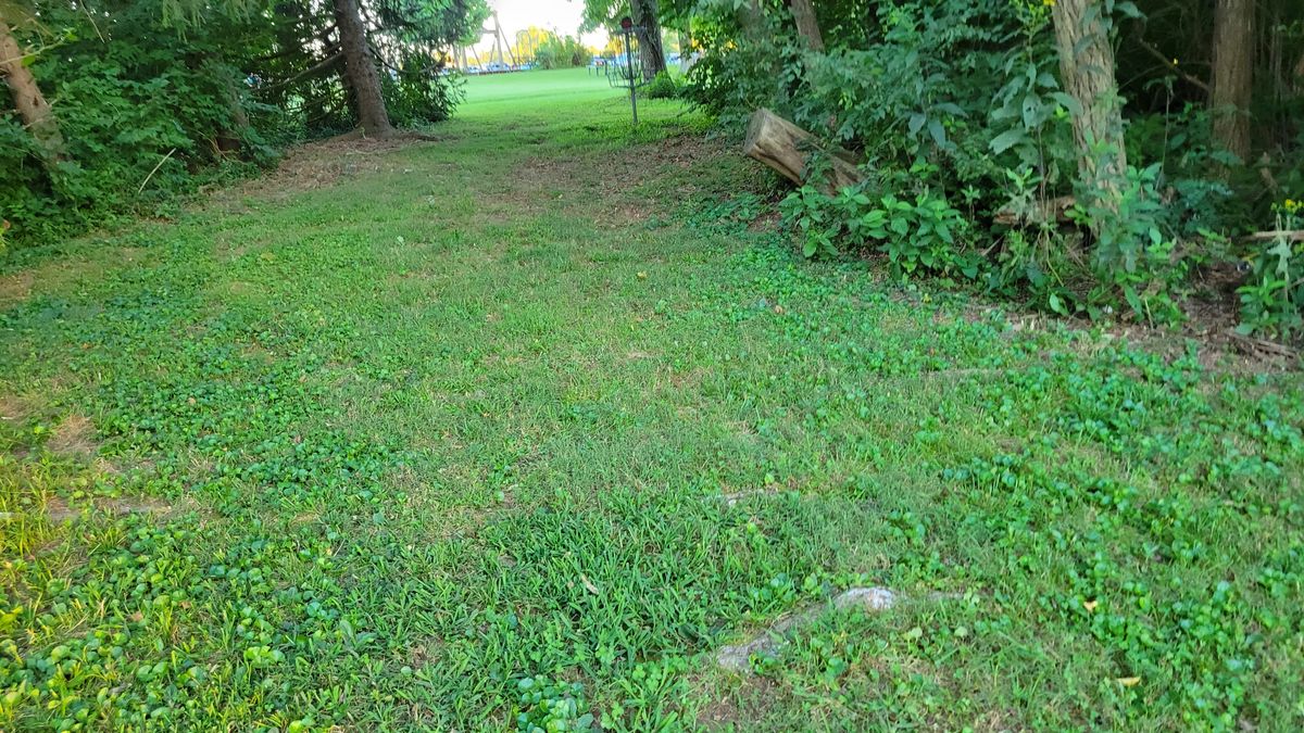 Hole 5 Basket