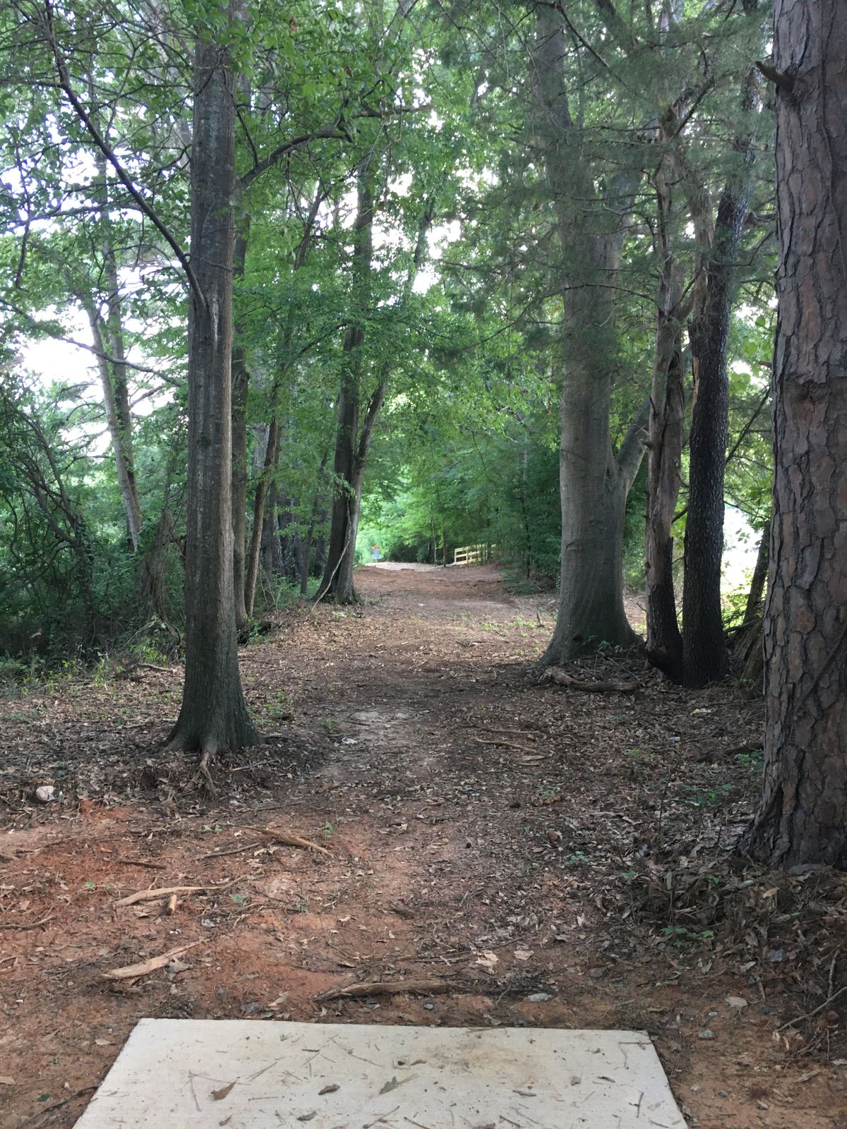 Hole 7