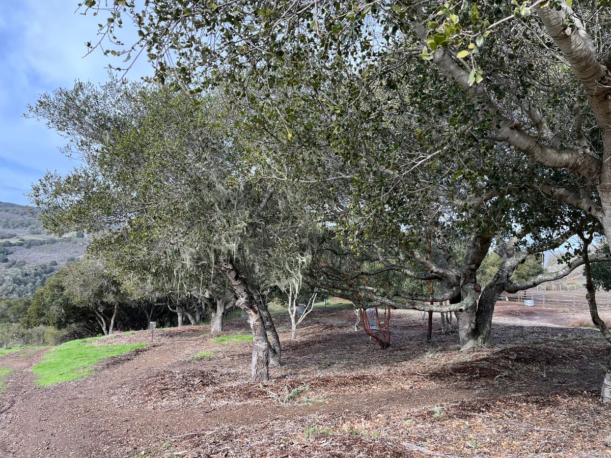 Wide shot of holes 1-4.