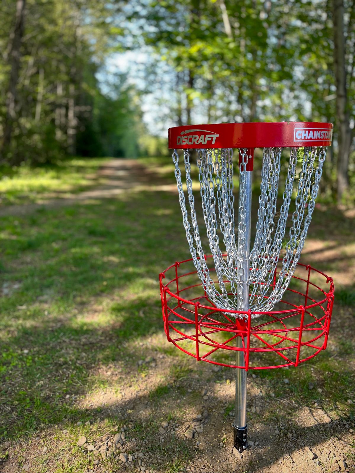 Hole #12 basket