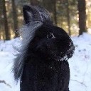 User avatar image