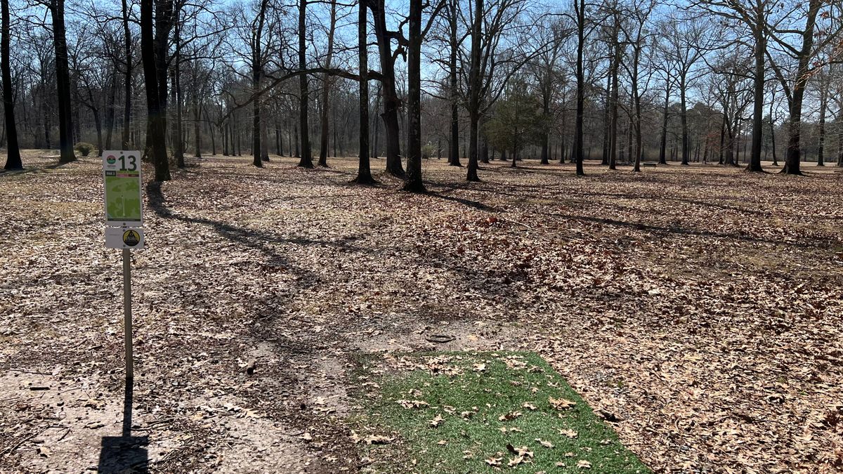 Hole 13