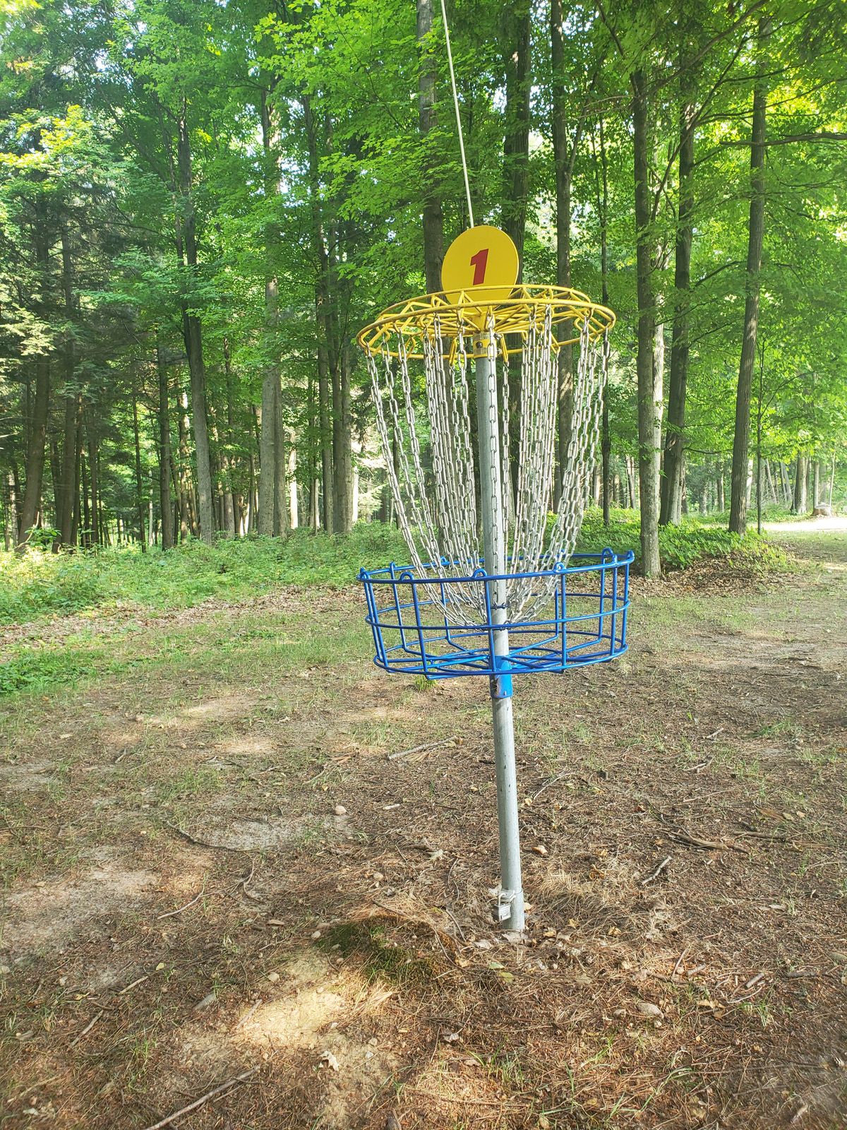 Basket 1