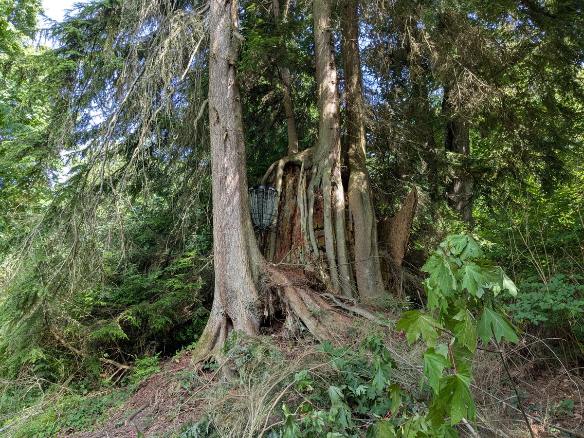 Hole 17