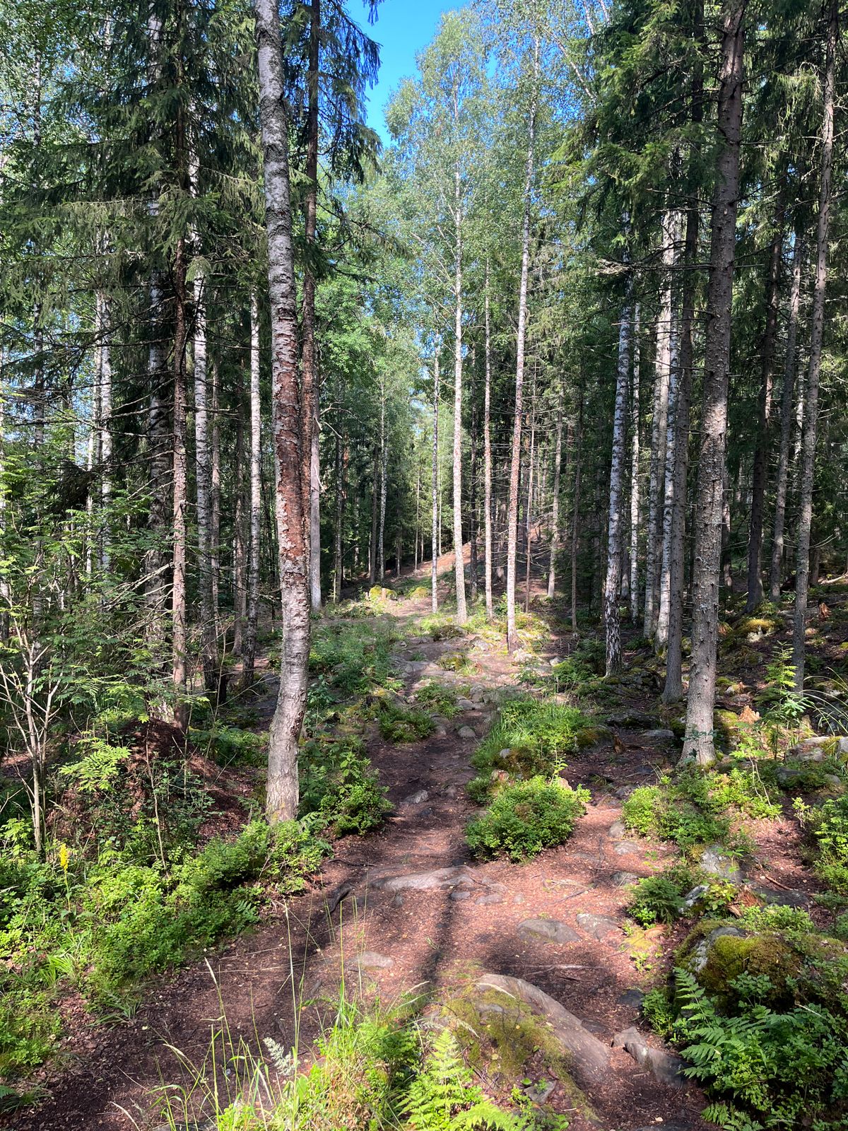 Hole 16, tee