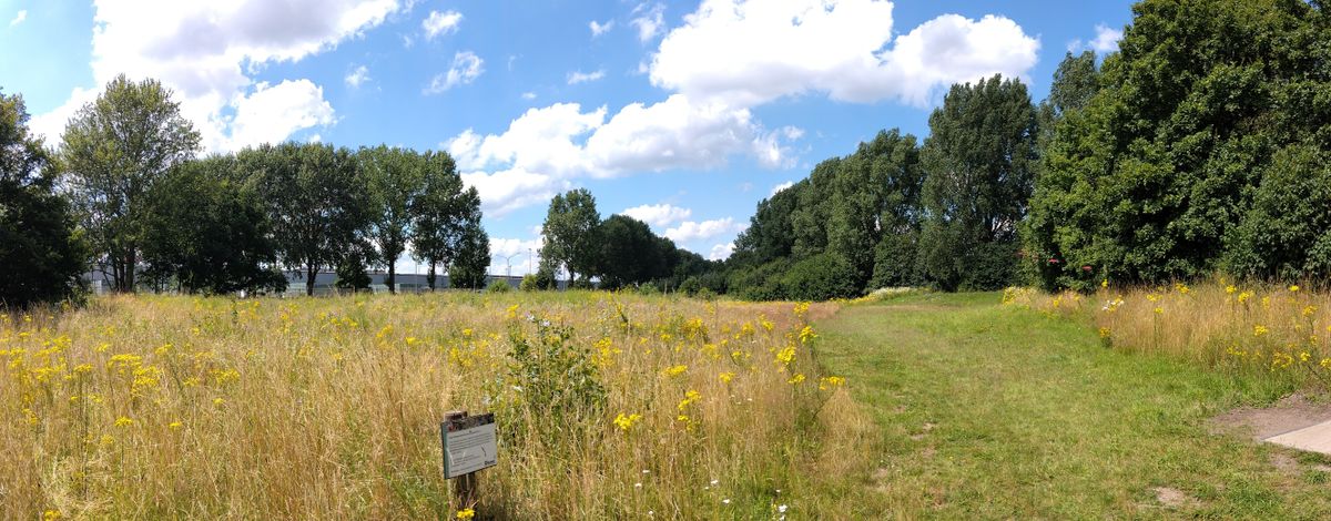 Hole 4 🌼