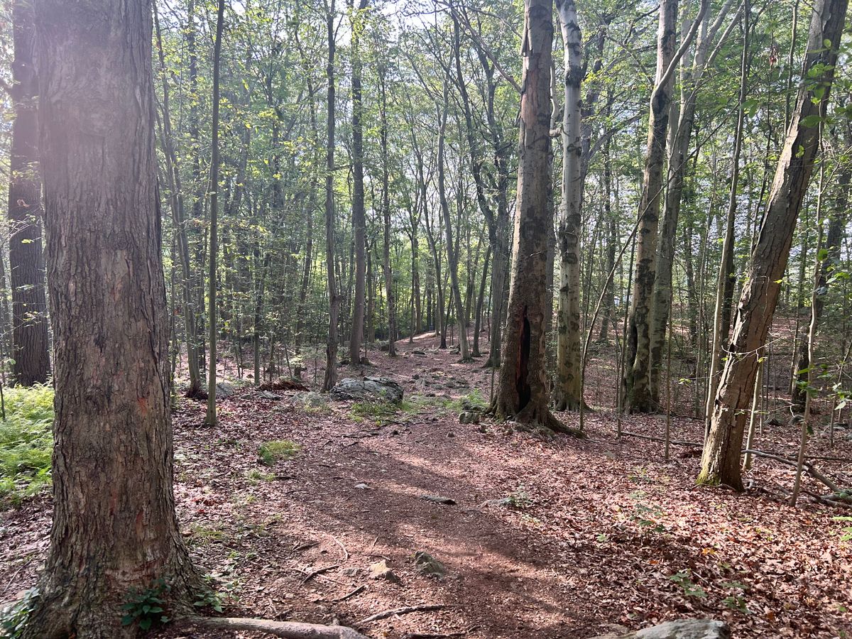 Hole 5