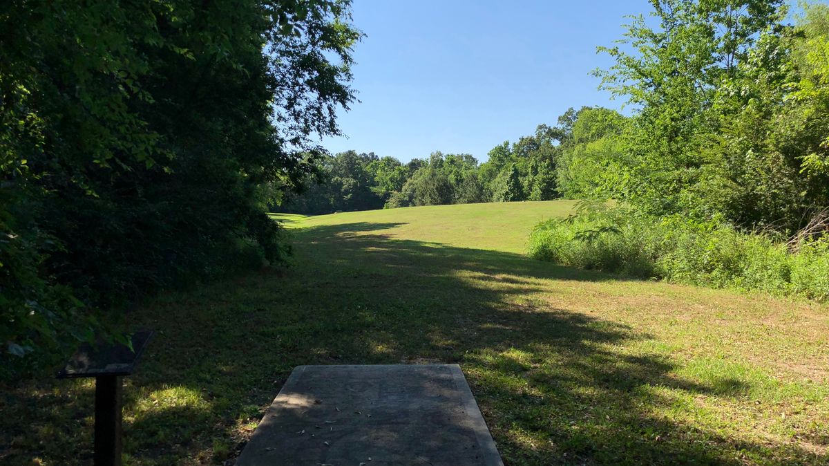 Hole 14