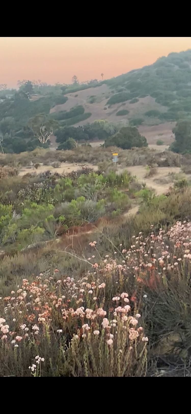 Hole 7