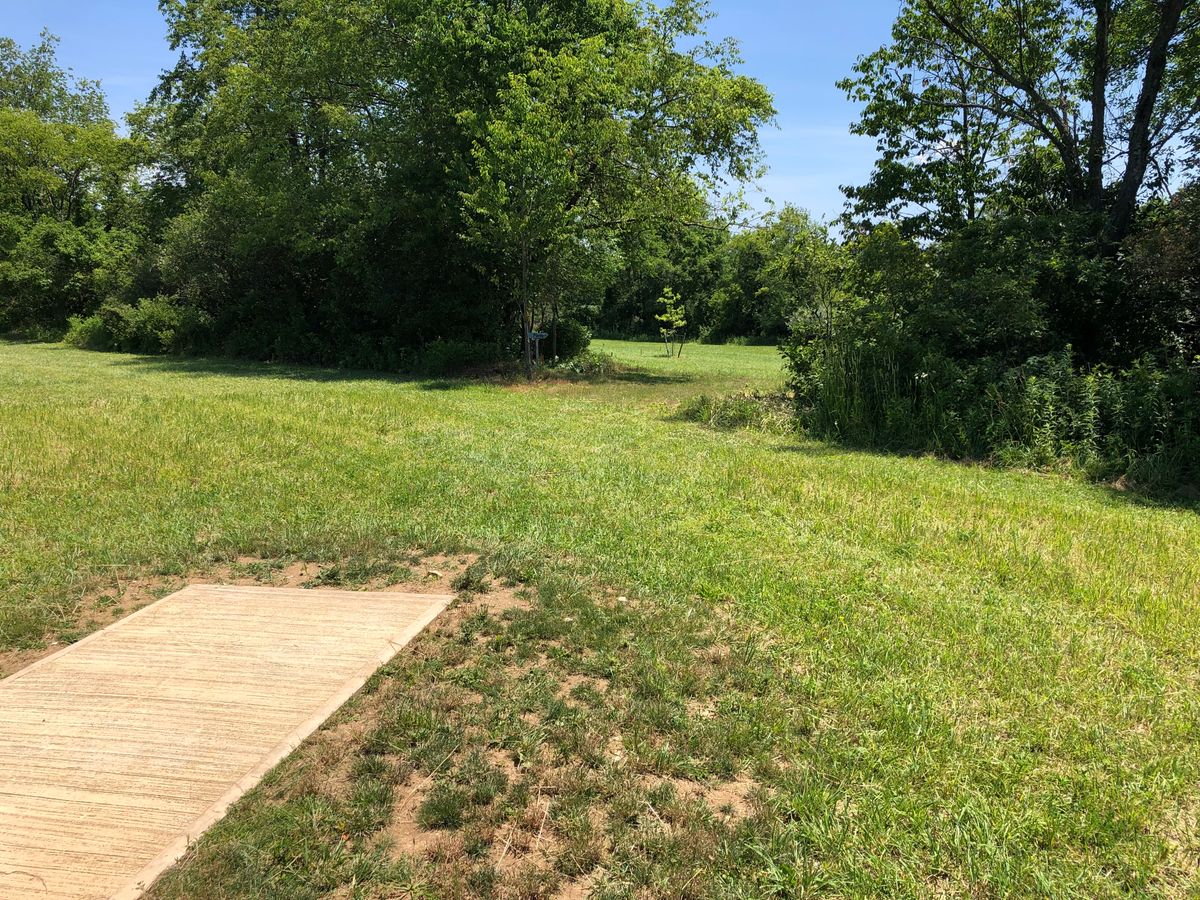 Tee 13, with dogleg left after initial tree line