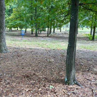 Hole 3 tee
