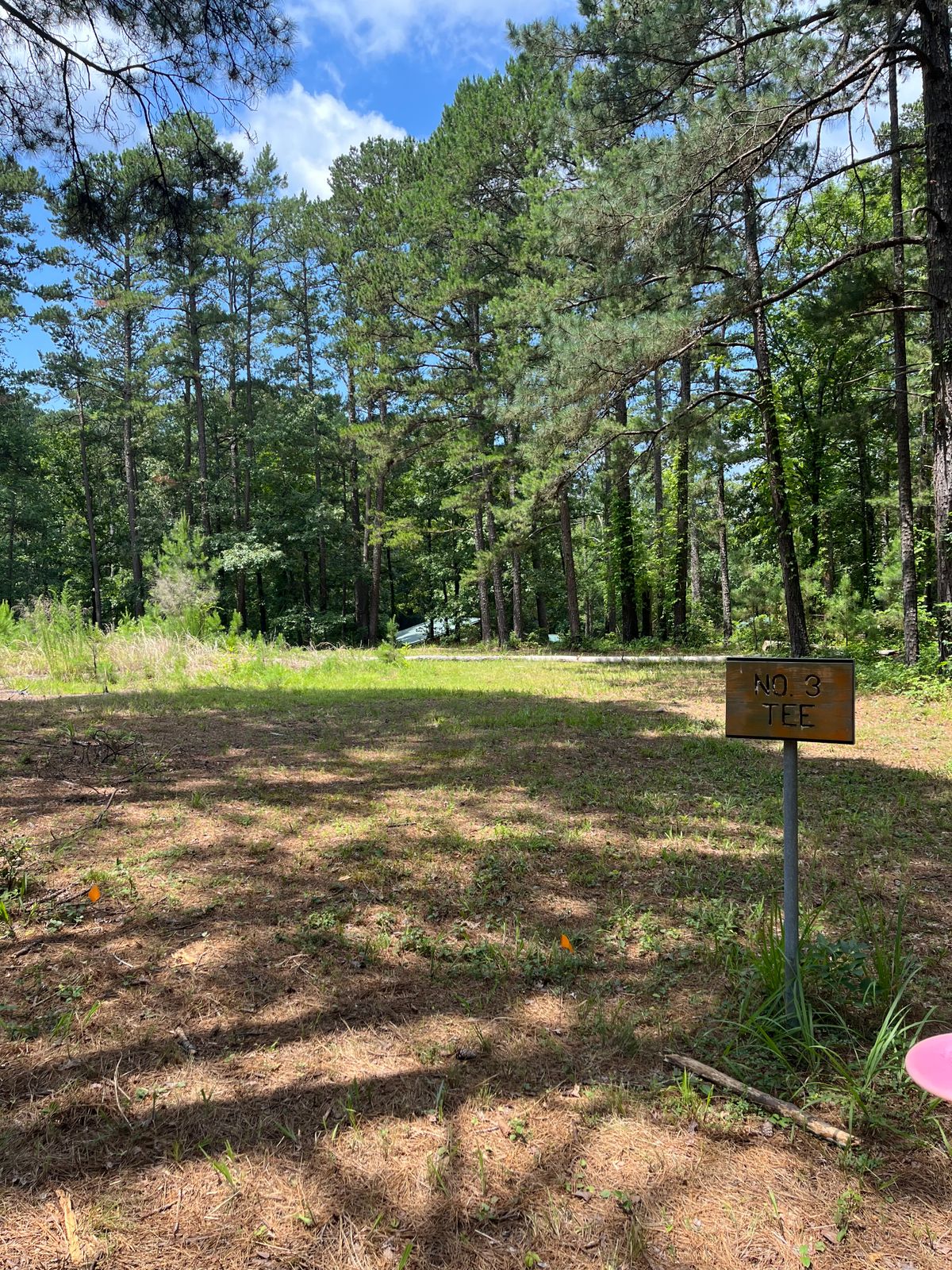 Hole 3 Tee