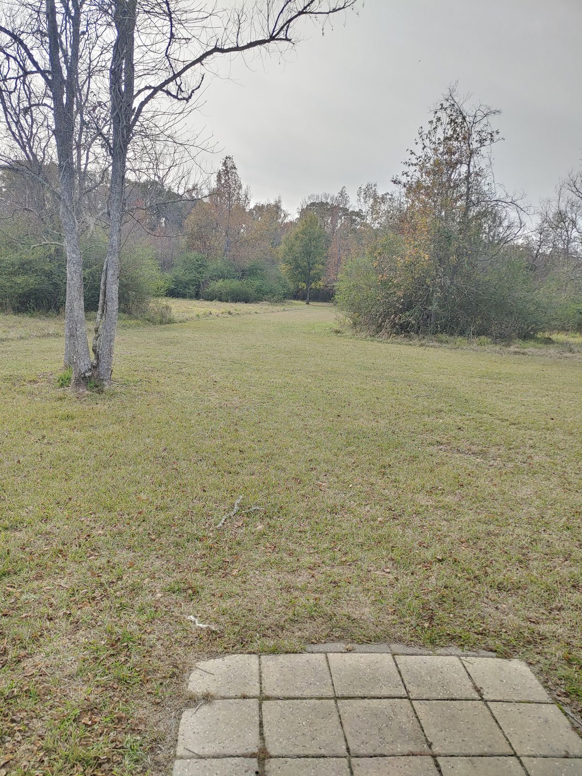 Hole 20 Pro