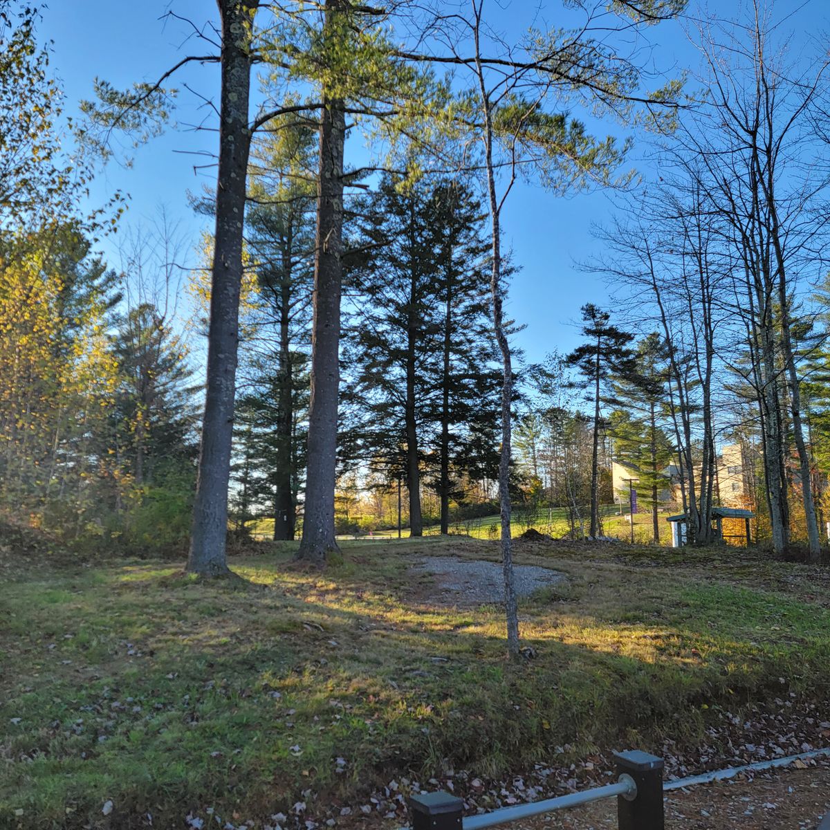 Looking toward basket of 10