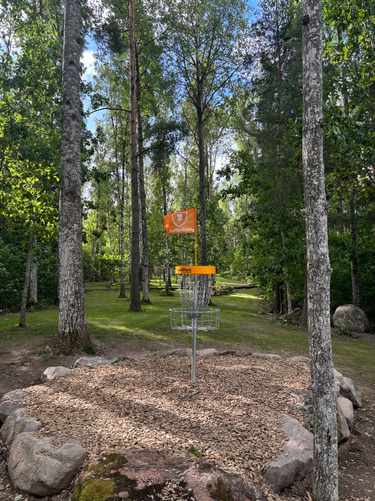 Green hål 10