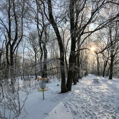 kosz nr 3 w stronę tee