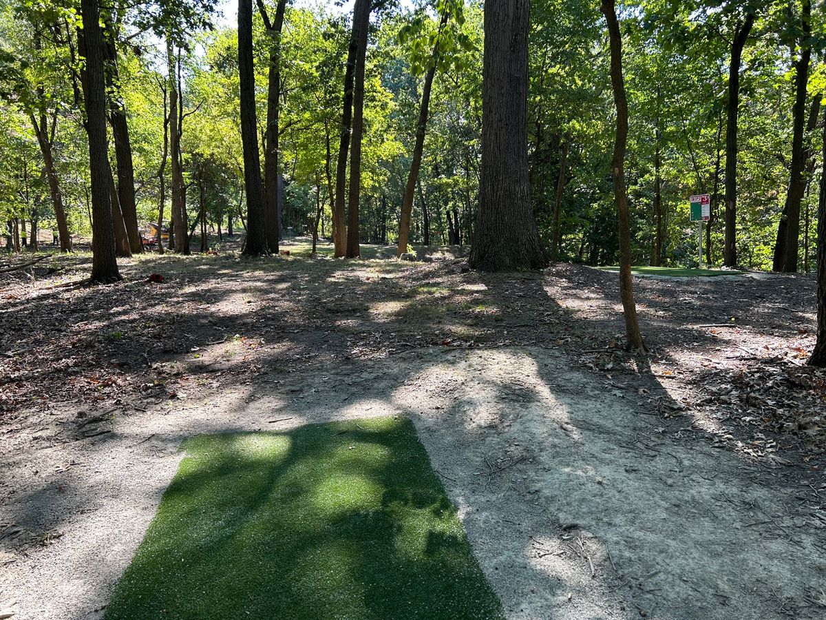 Hole 3 White tee shot