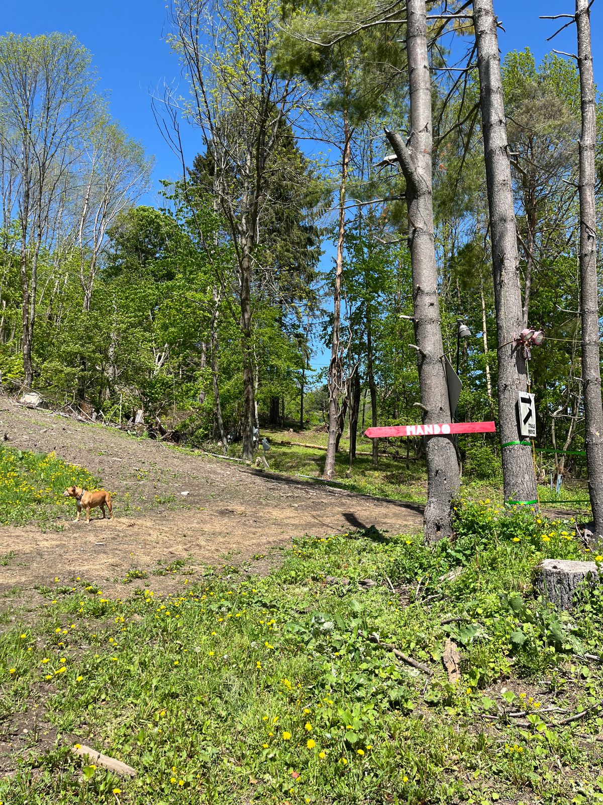 Mando on new hole 13