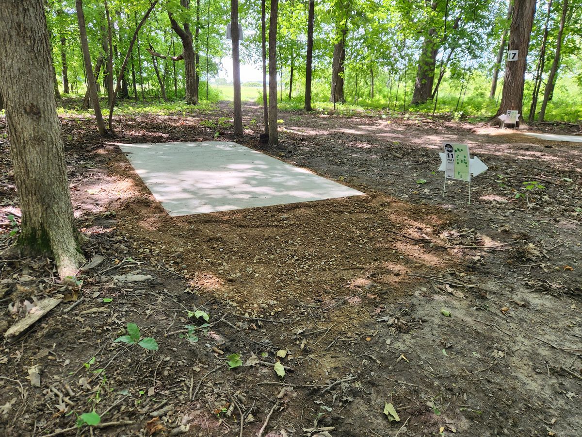 Hole 11 tee