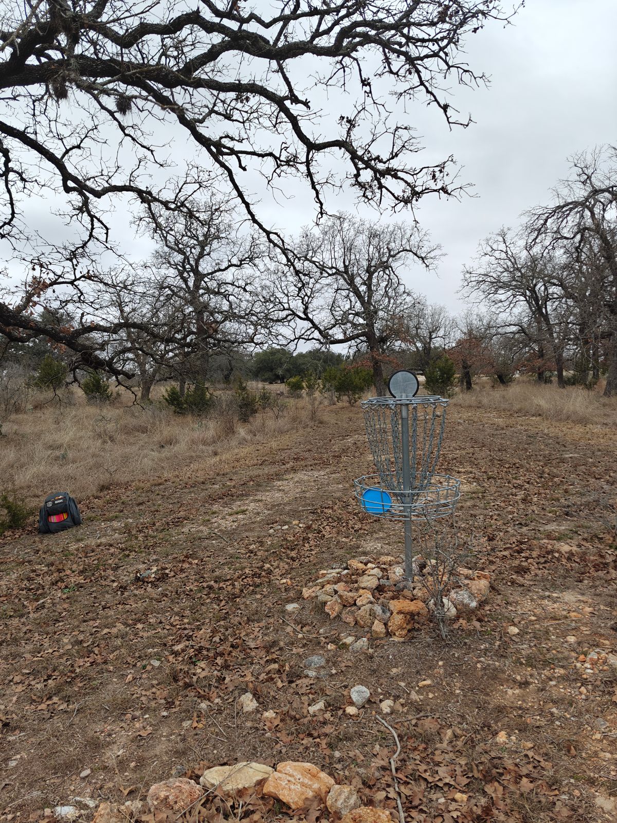 Hole 5 basket looking back at teepad