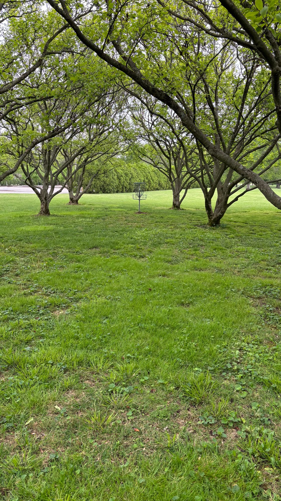 Hole 9 basket
