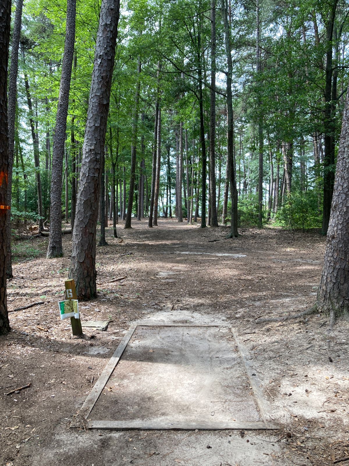 Hole 6 - Drastic dogleg left