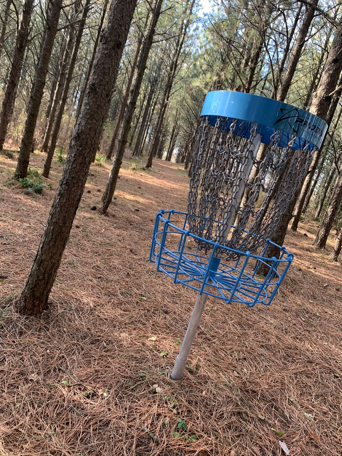 View of hole 21 looking back down the fairway.