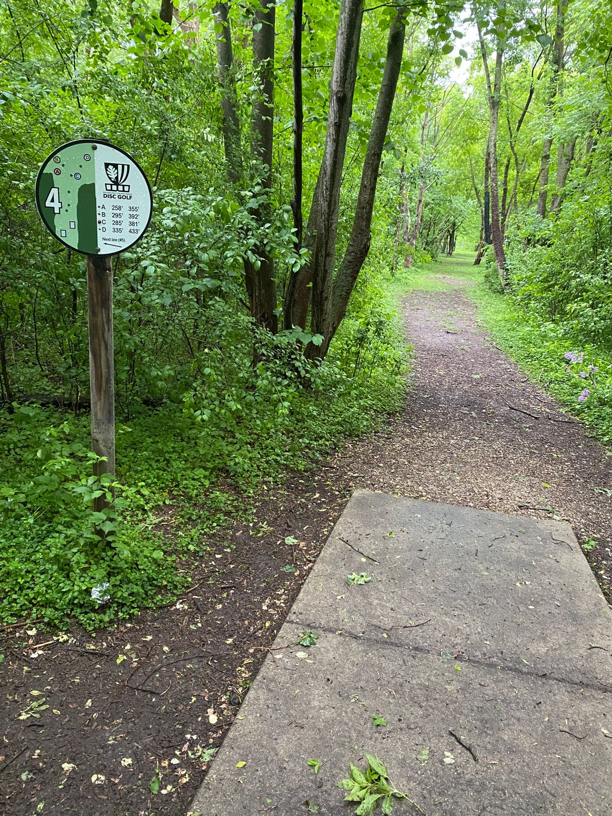 Hole 4, long tee pad tunnel shot