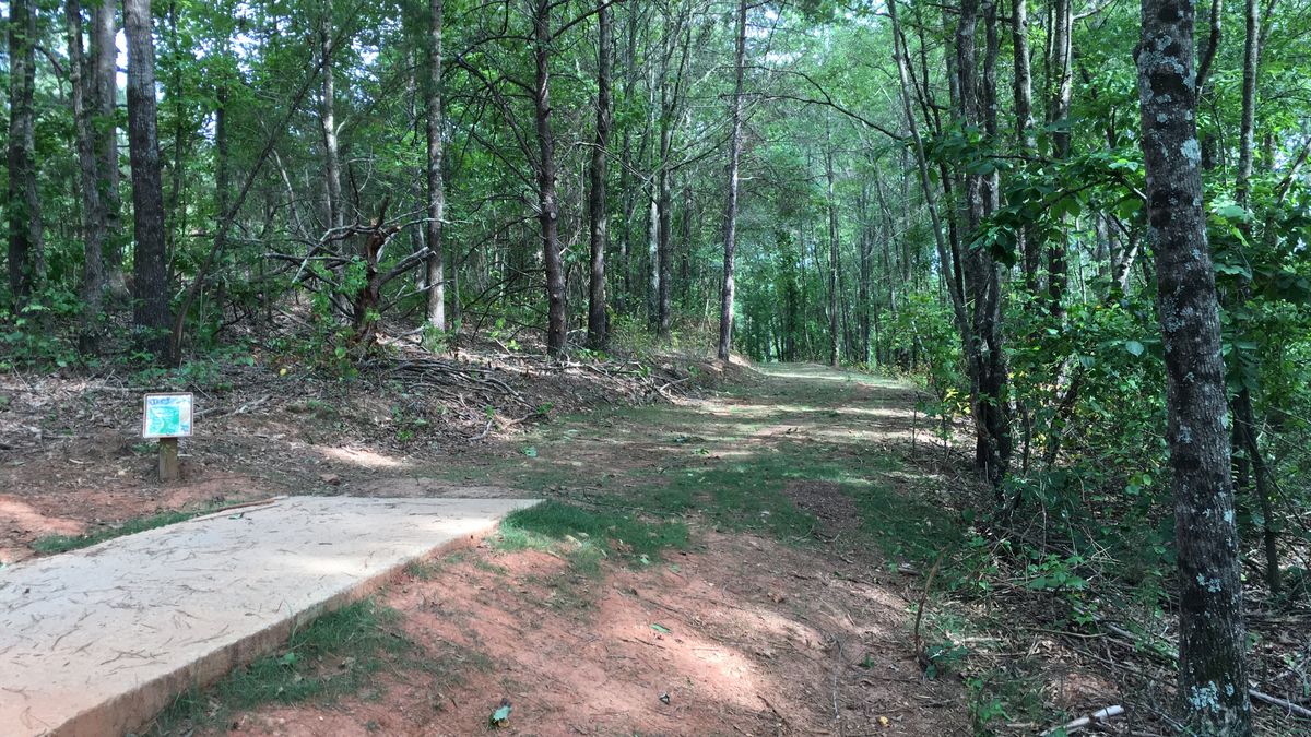 Hole 11