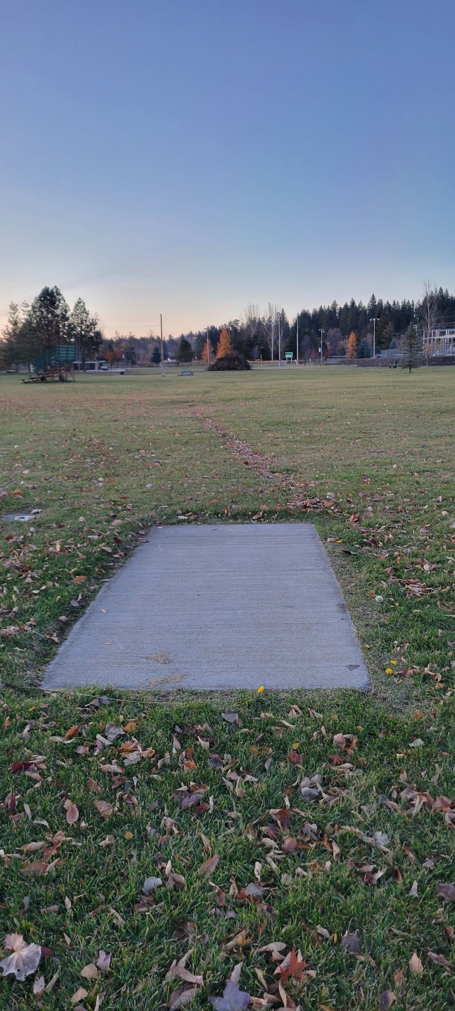 Tee #6      tee sign is missing      basket is left around the corner of the path