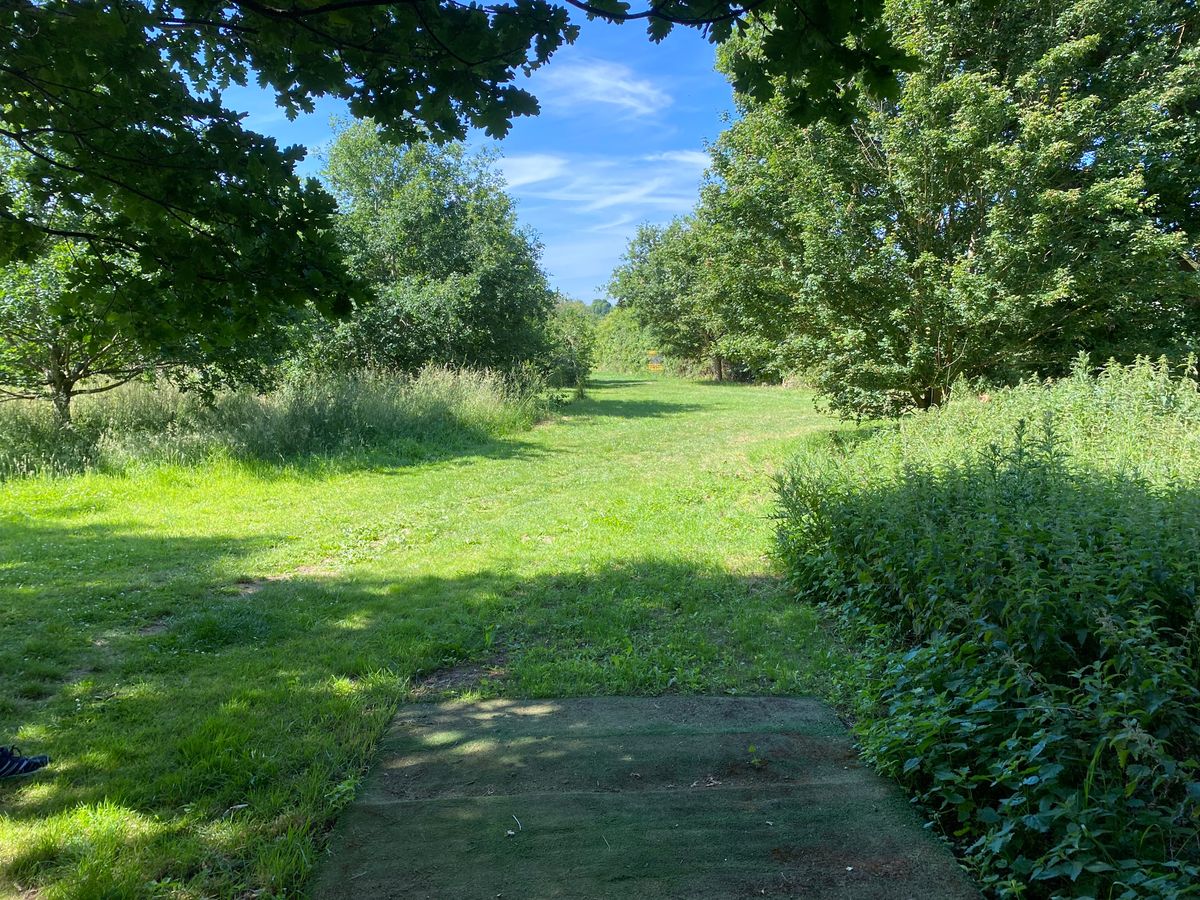 Hole 4