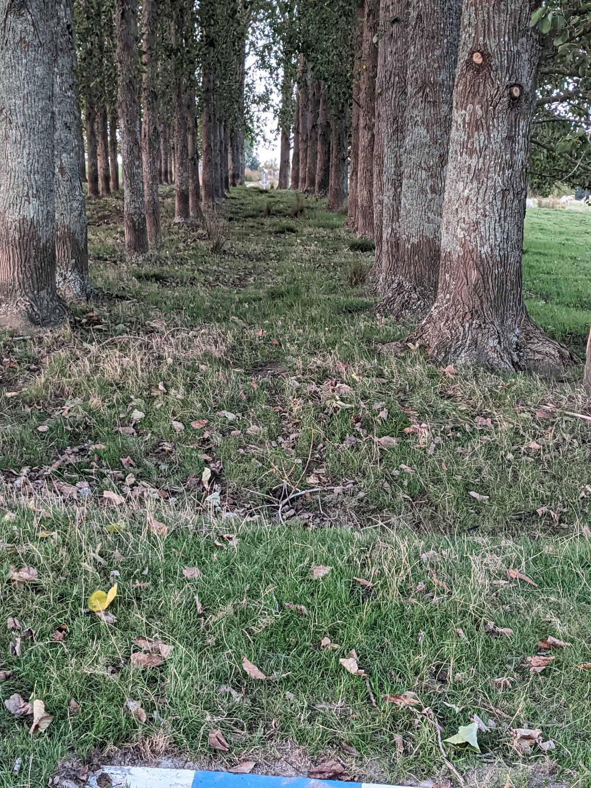 Hole 2