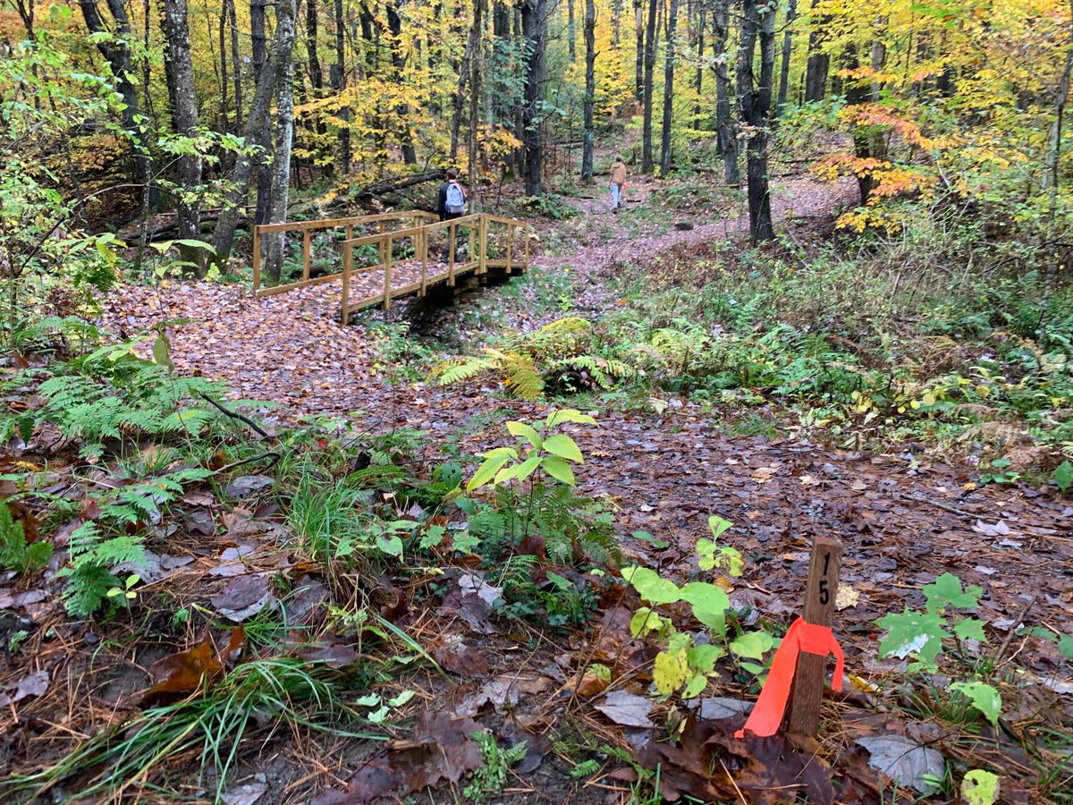 Hole 15