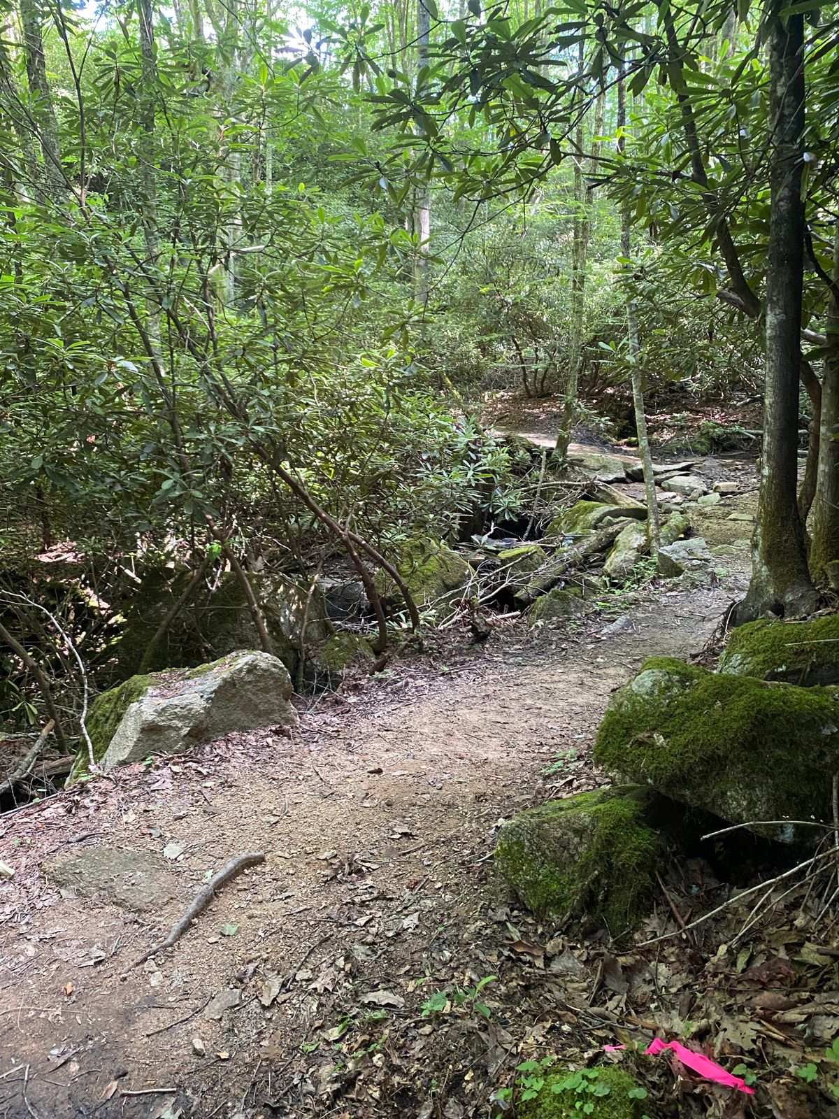 Tee 15