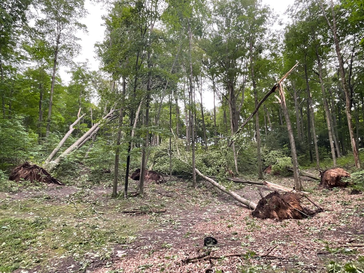 Just some of the damage on hole 7 from the 8/10/21 storm. Other holes are completely unplayable.