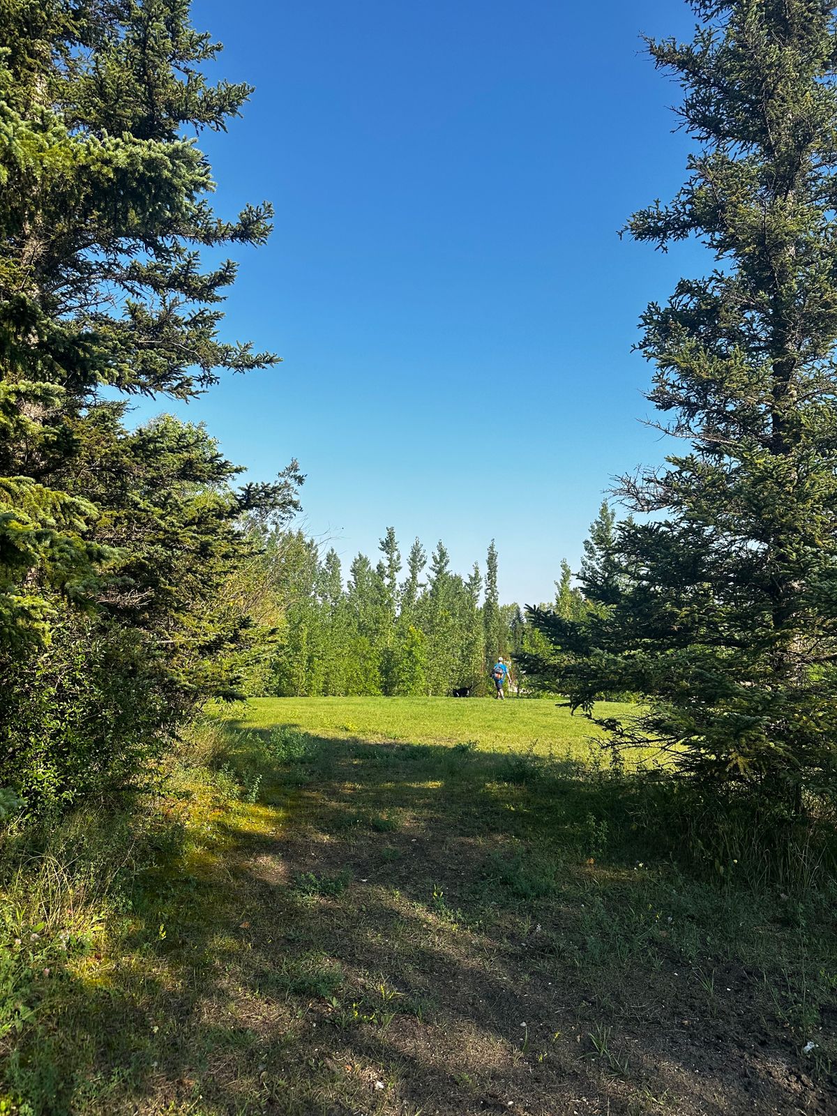 Hole 2